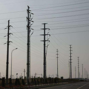 電力仿生產(chǎn)品